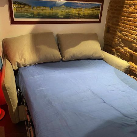 טולוז Petit Appartement Cosy מראה חיצוני תמונה